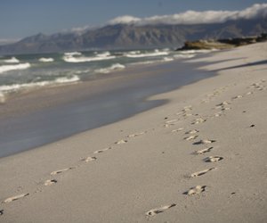 The Beauty of Gansbaai - Weekend Inspiration